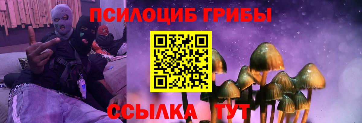 Галлюциногенные грибы GOLDEN TEACHER Лабытнанги